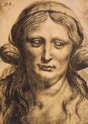 Female Portrait